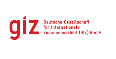 GIZ logo